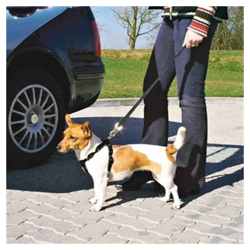 Trixie Autotuig met gordel zwart