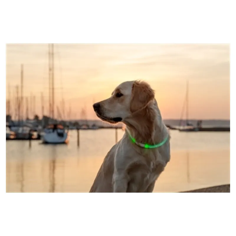 Trixie Lichtgevende halsband Flash Light