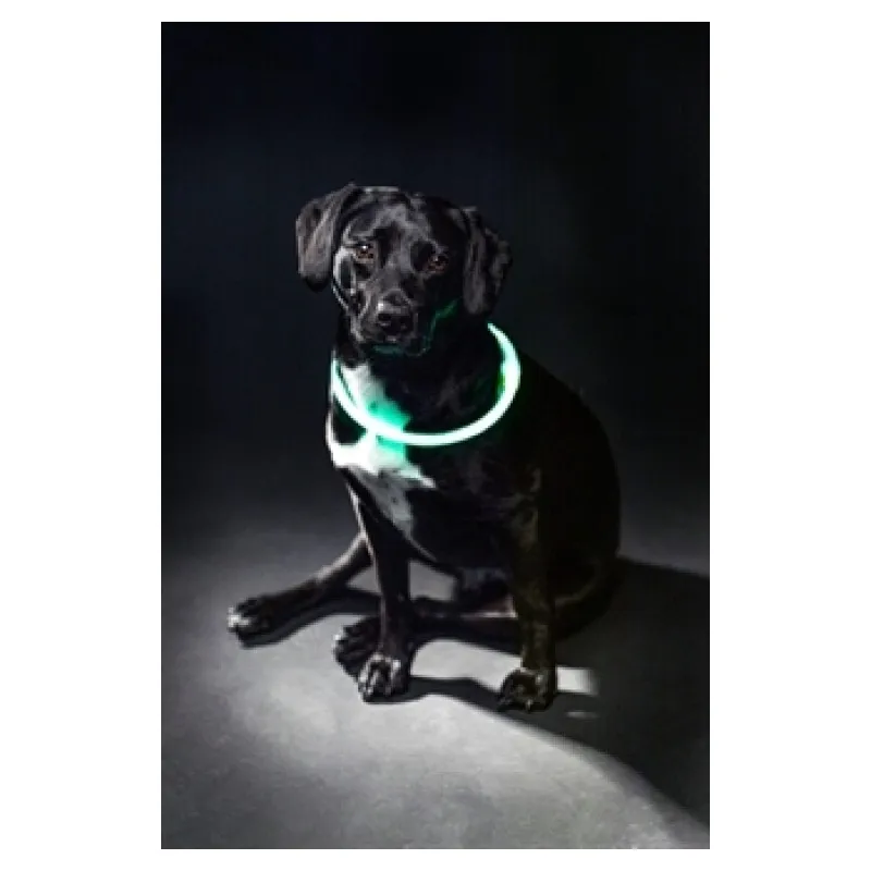 Trixie Lichtgevende halsband Flash Light