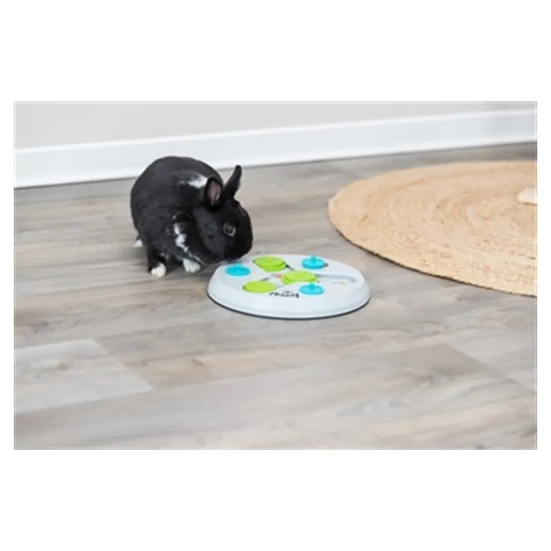 Trixie Slide & Fun Board knaagdier